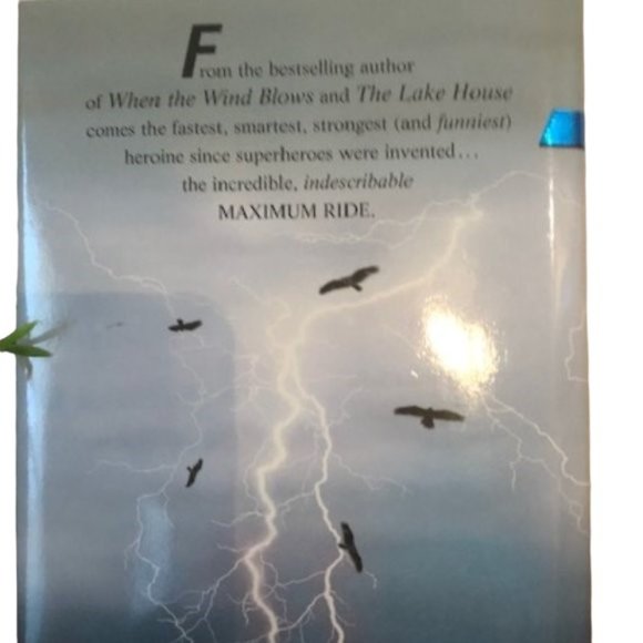 Maximum Ride: The Angel Experiment Book by James Patterson - Picture 2 of 5